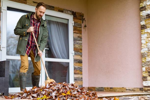 Best Basement Cleanout Services  in Rocky Mount, NC