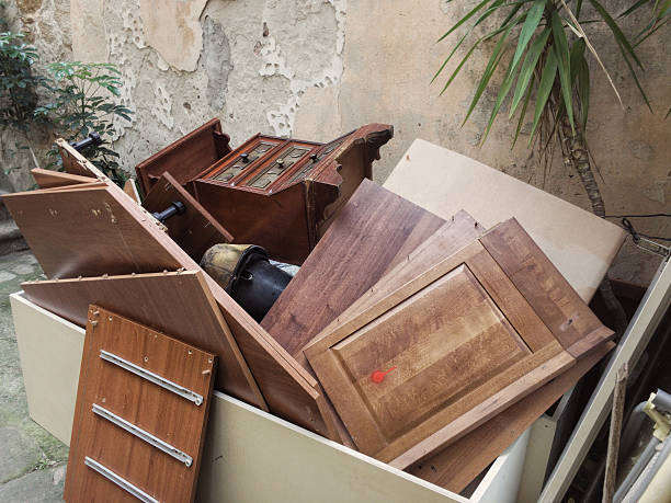 Yard Cleanup Services in Rocky Mount, NC